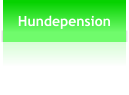 Hundepension
