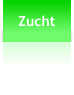 Zucht
